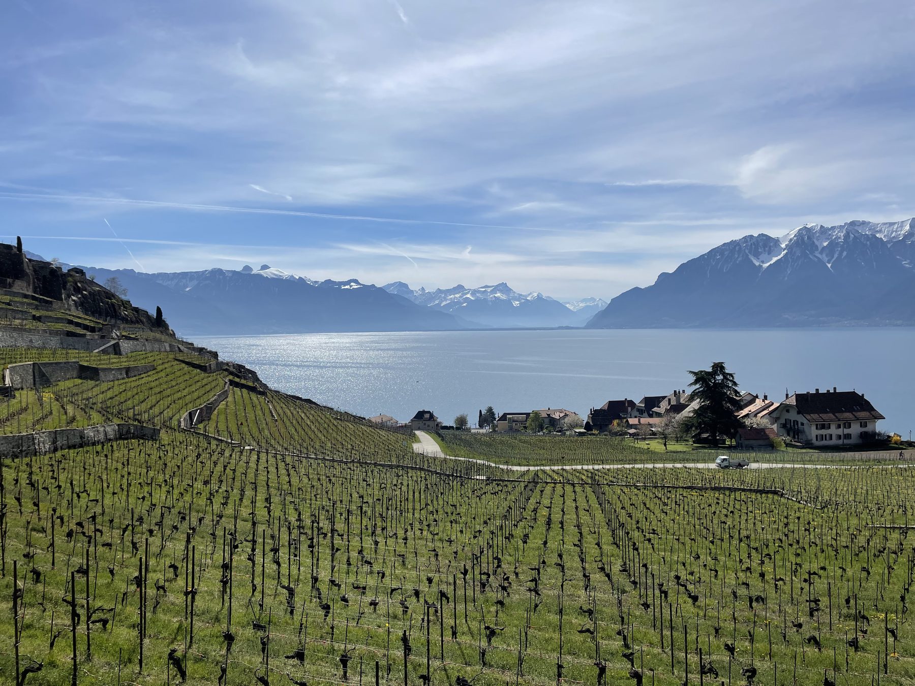 Die Weinbergterrassen des Lavaux, der Genfersee, ein Dorf und die verschneiten Alpen