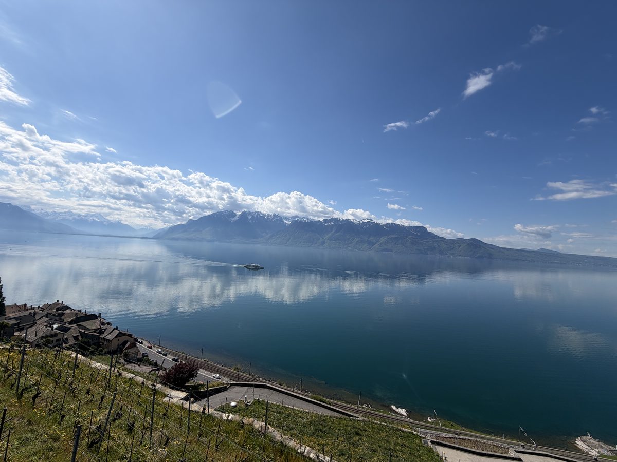 Panorama des Lavaux: Reben, ein Dorf, der Genfersee mit einem Schiff und die Alpen